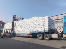 把握機遇、鉚足干勁、承勢而上